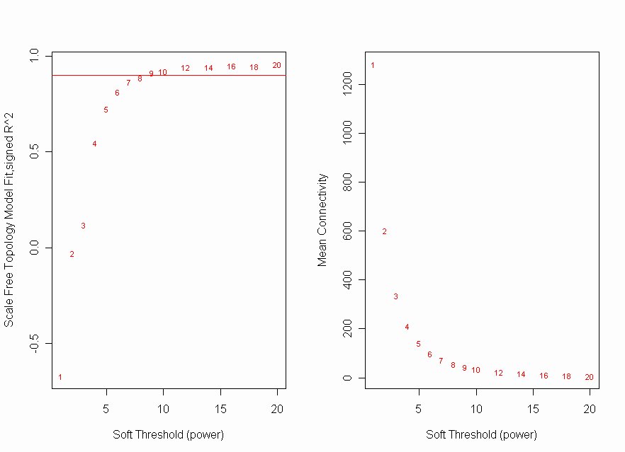 normal scale-free topology